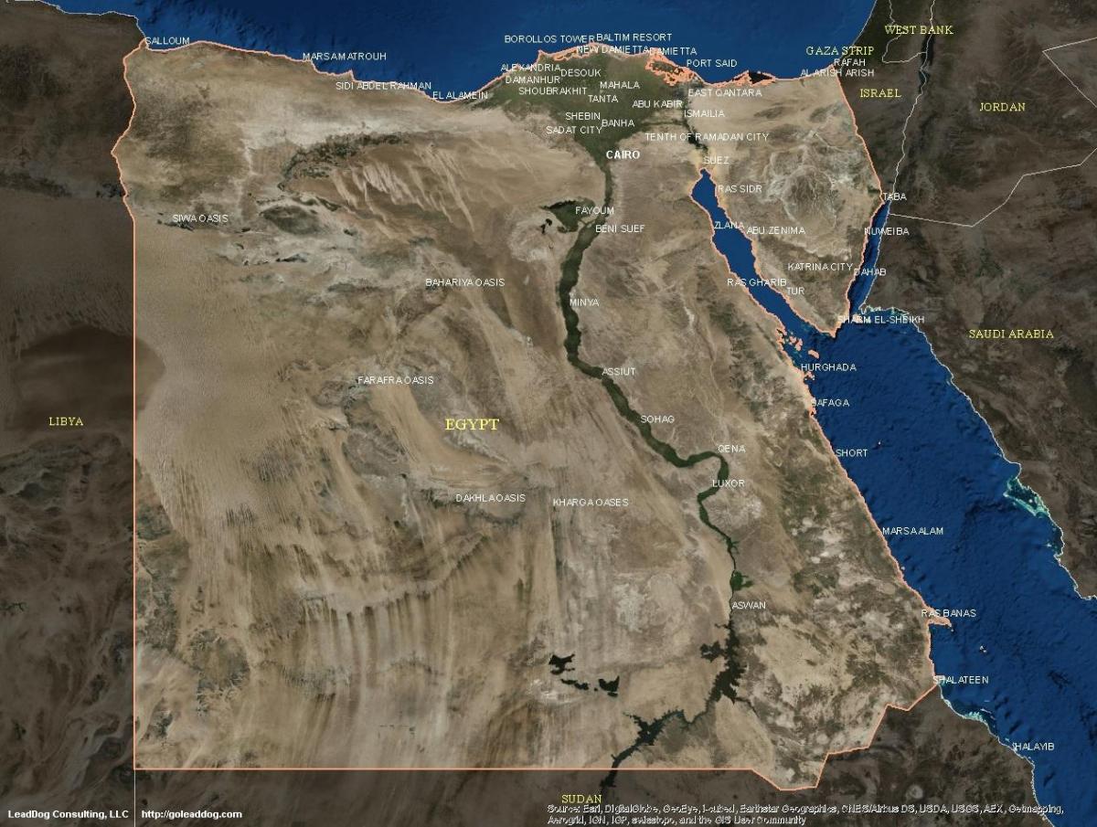 开罗地图卫星
